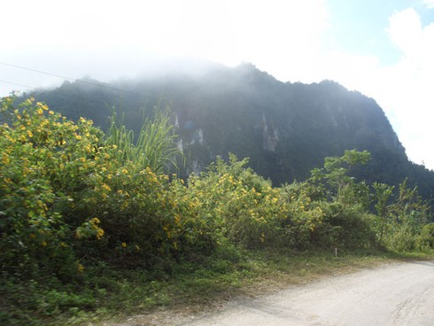 Lực lượng đặc biệt