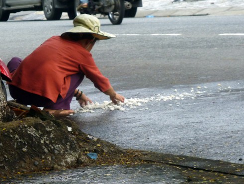 Đà Nẵng: Kinh hãi hốt cơm đổ giữa đường bán cho khách! - ảnh 9