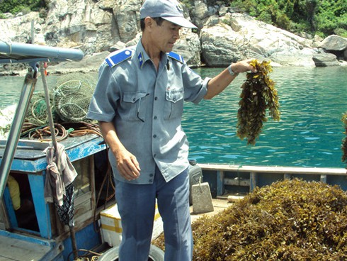 Xây dựng, quảng bá thương hiệu biển Việt Nam - ảnh 1