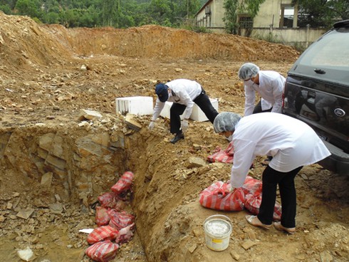 Tiêu huỷ hơn 6,5 tấn nội tạng thối - ảnh 1