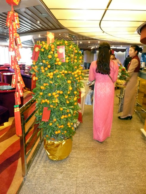 Du thuyền của Star Cruises cập cảng Đà Nẵng - ảnh 11