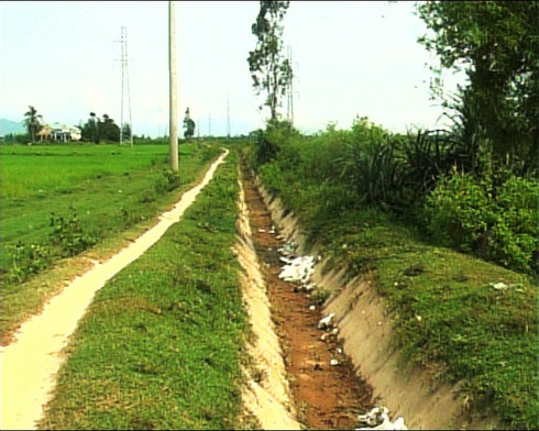 Đà Nẵng lập Ban chỉ đạo đối phó với hạn hán nghiêm trọng - ảnh 1
