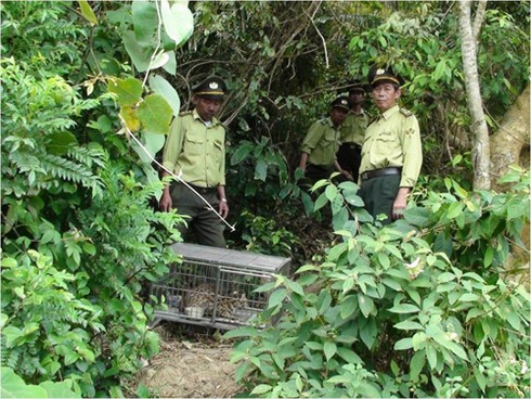 Phát hiện chim hoang dã chết chuẩn bị lên bàn nhậu - ảnh 1