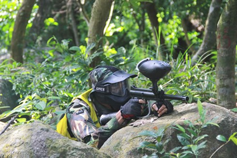 Huỷ bỏ tour bắn súng sơn ở bán đảo Sơn Trà - ảnh 1