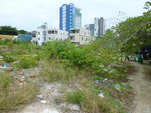 Thảm cảnh rác ngập