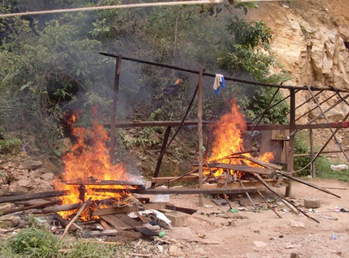 Đà Nẵng: Truy quét chống chặt phá rừng - ảnh 1