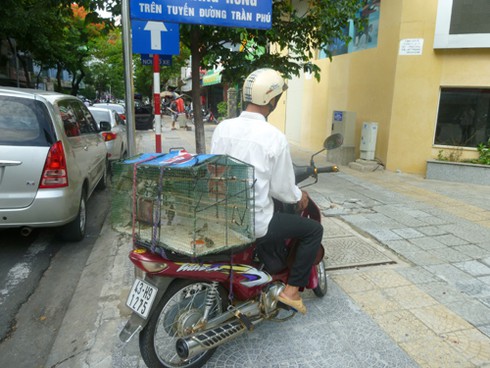 Gian nan tìm nơi báo tin xử lý
