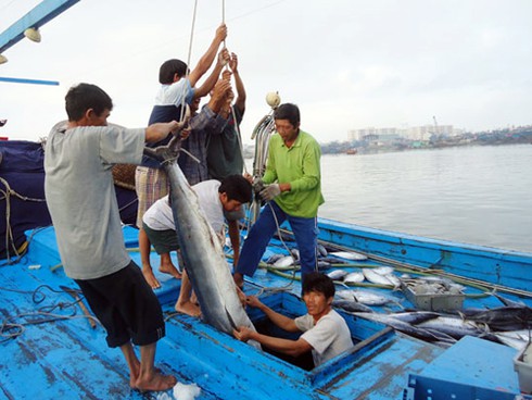 Ngư dân liên tiếp bị nạn, một người rơi xuống biển mất tích - ảnh 1