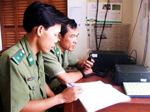 Đà Nẵng: Hơn 300 ngư dân đang ở vùng áp thấp nhiệt đới - ảnh 1