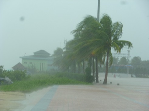 Bão số 8: 2 người chết, 11 người mất tích - ảnh 1