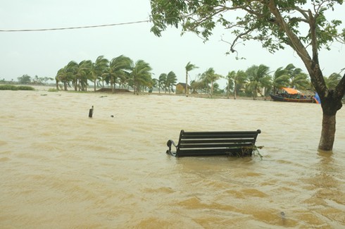 Hội An: Sau bão số 11, 2000 dân sơ tán vì lũ - ảnh 3
