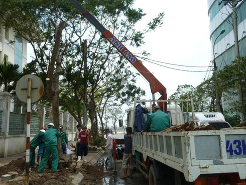 Đà Nẵng: Hoa tươi mừng 20/10 bên gốc cây xanh dựng lại sau bão - ảnh 1