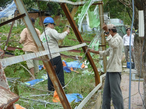 Đà Nẵng: Hoa tươi mừng 20/10 bên gốc cây xanh dựng lại sau bão - ảnh 9