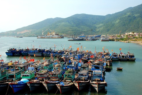 Miền Trung: Không còn tàu cá ở vùng biển nguy hiểm do bão số 12 - ảnh 1