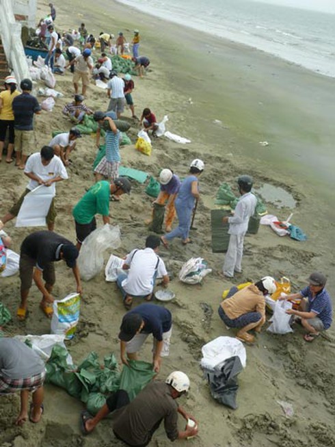 Đà Nẵng: Hàng ngàn người ra biển lấy cát chống siêu bão Haiyan - ảnh 2