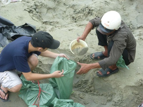 Đà Nẵng: Hàng ngàn người ra biển lấy cát chống siêu bão Haiyan - ảnh 5