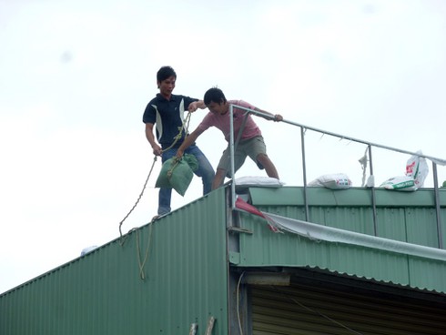 Đà Nẵng: Hàng ngàn người ra biển lấy cát chống siêu bão Haiyan - ảnh 14