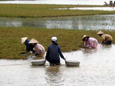 Bão Haiyan chưa vào miền Trung đã có 1 người chết, 3 người mất tích do mưa lũ - ảnh 1