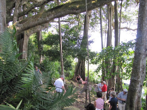 Đà Nẵng mở thêm tour ngắm
