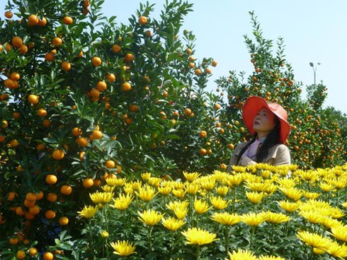 Sắc màu Đà Nẵng đón xuân sang! - ảnh 16