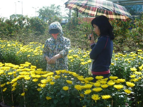 Sắc màu Đà Nẵng đón xuân sang! - ảnh 17