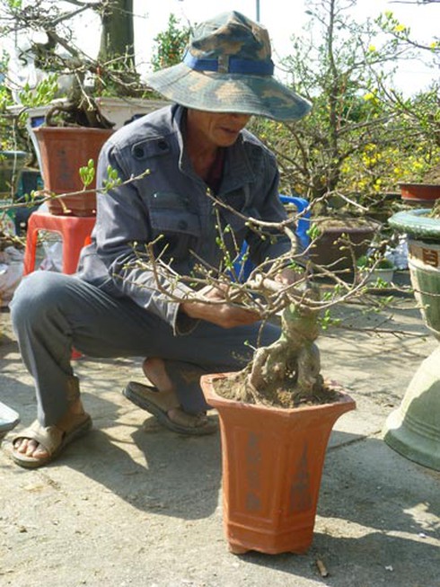 Sắc màu Đà Nẵng đón xuân sang! - ảnh 19