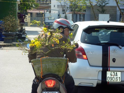 Sắc màu Đà Nẵng đón xuân sang! - ảnh 21