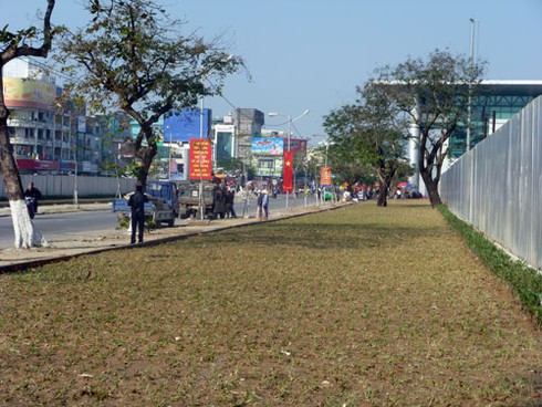 Sắc màu Đà Nẵng đón xuân sang! - ảnh 3