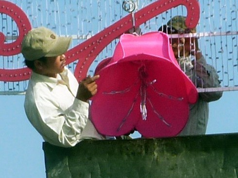 Sắc màu Đà Nẵng đón xuân sang! - ảnh 7