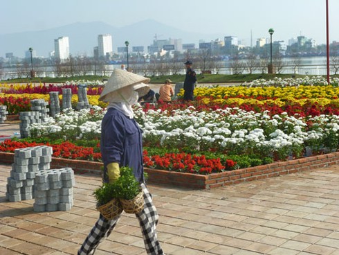 Sắc màu Đà Nẵng đón xuân sang! - ảnh 1