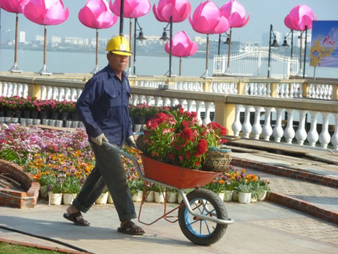 Sắc màu Đà Nẵng đón xuân sang! - ảnh 9