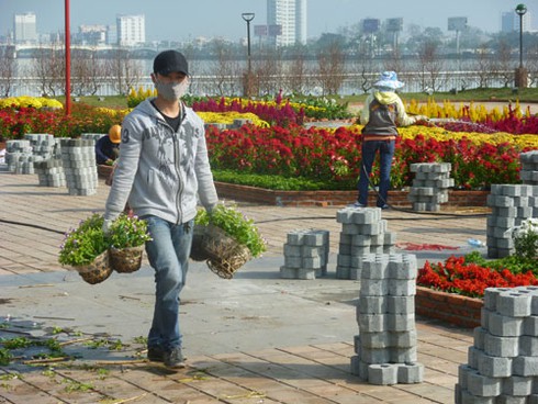 Sắc màu Đà Nẵng đón xuân sang! - ảnh 10