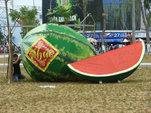 Đưa Hoàng Sa, Trường Sa vào Hội Hoa Xuân Giáp Ngọ - ảnh 4