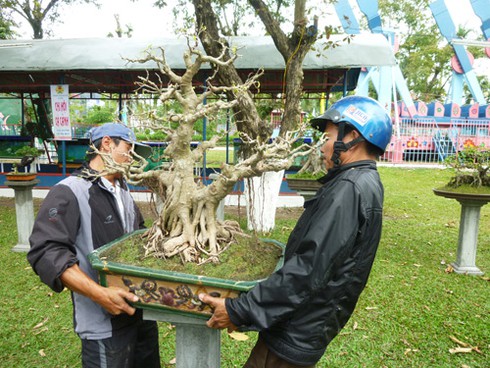 Đưa Hoàng Sa, Trường Sa vào Hội Hoa Xuân Giáp Ngọ - ảnh 6