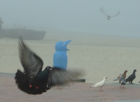 Đà Nẵng: Kỳ thú phố biển bỗng chìm trong sương mù - ảnh 16