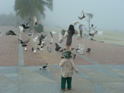 Đà Nẵng: Kỳ thú phố biển bỗng chìm trong sương mù - ảnh 23