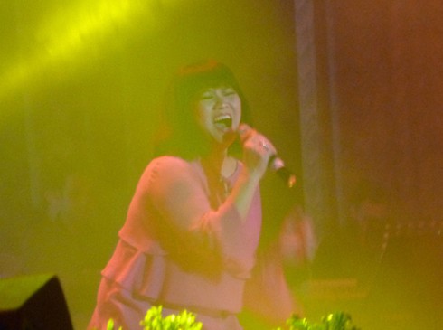 “Kỳ lạ” đêm nhạc “Gác Trịnh” ở Đà Nẵng - ảnh 8