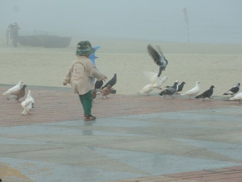 Đà Nẵng: Kỳ thú phố biển bỗng chìm trong sương mù - ảnh 24