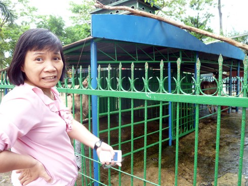 Đà Nẵng: Thực hư clip xẻ thịt nai chết ngay tại Công viên 29/3 - ảnh 3