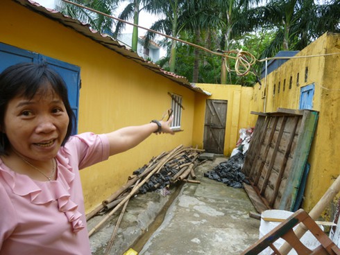 Đà Nẵng: Thực hư clip xẻ thịt nai chết ngay tại Công viên 29/3 - ảnh 2