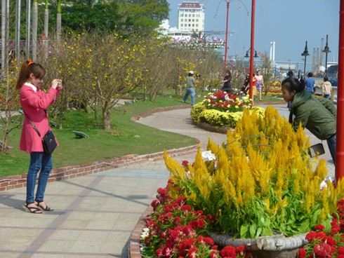 Đà Nẵng: Tìm ý tưởng tô điểm thành phố từ SV - ảnh 1