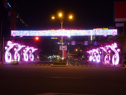 Đà Nẵng: Tìm ý tưởng tô điểm thành phố từ SV - ảnh 2