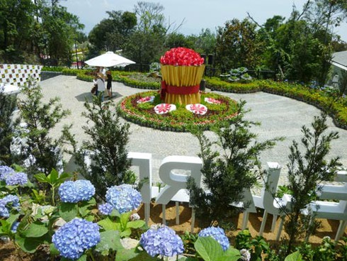 Ông Nguyễn Bá Thanh dự chuyến tàu hỏa leo núi đầu tiên tại Việt Nam - ảnh 16