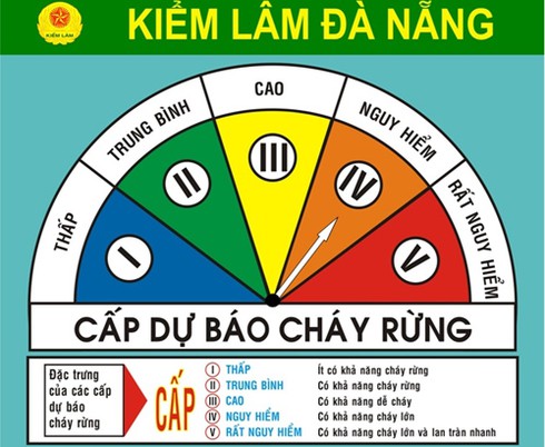 Đà Nẵng: Báo động nguy cơ cháy rừng cấp IV vì nắng nóng - ảnh 1