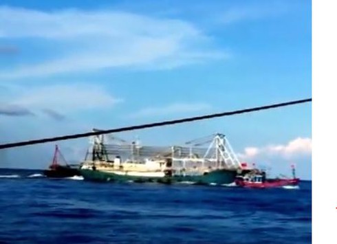 Chấn động: Clip quay cảnh tàu TQ tàn bạo, đâm chìm tàu cá Việt Nam - ảnh 4