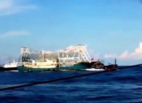 Chấn động: Clip quay cảnh tàu TQ tàn bạo, đâm chìm tàu cá Việt Nam - ảnh 7