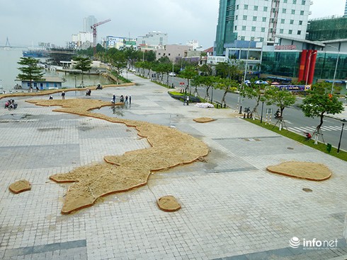 Bản đồ Việt Nam bằng hoa có diện tích 300 mét vuông tại Đà Nẵng - ảnh 1