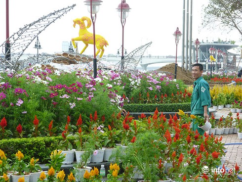 Đà Nẵng: Đường hoa xuân Bạch Đằng rực rỡ chờ giờ khai hội - ảnh 11