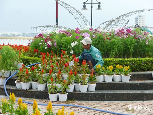 Đà Nẵng: Đường hoa xuân Bạch Đằng rực rỡ chờ giờ khai hội - ảnh 12
