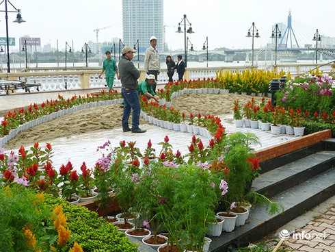 Đà Nẵng: Đường hoa xuân Bạch Đằng rực rỡ chờ giờ khai hội - ảnh 13